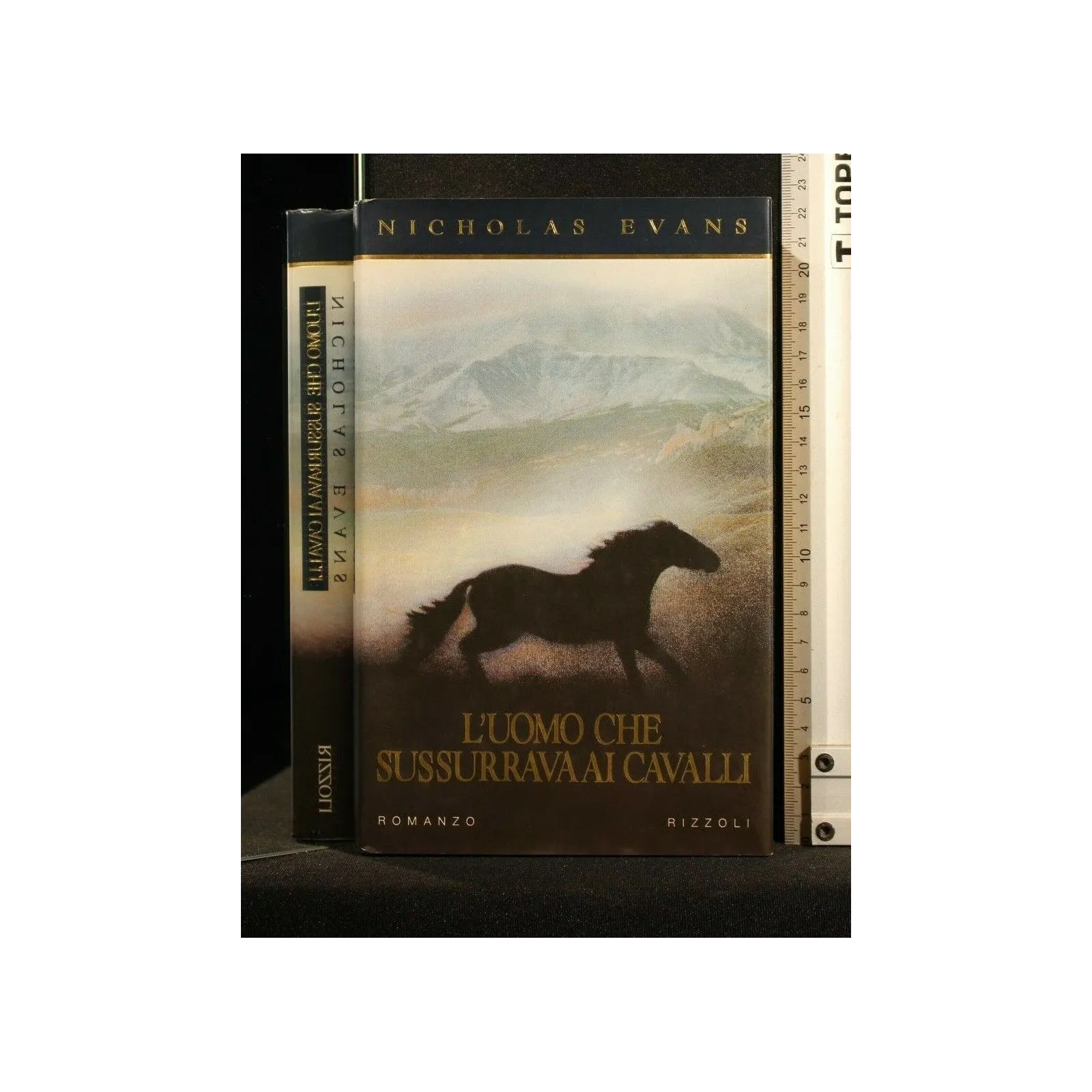 L'UOMO CHE SUSSURRAVA AI CAVALLI