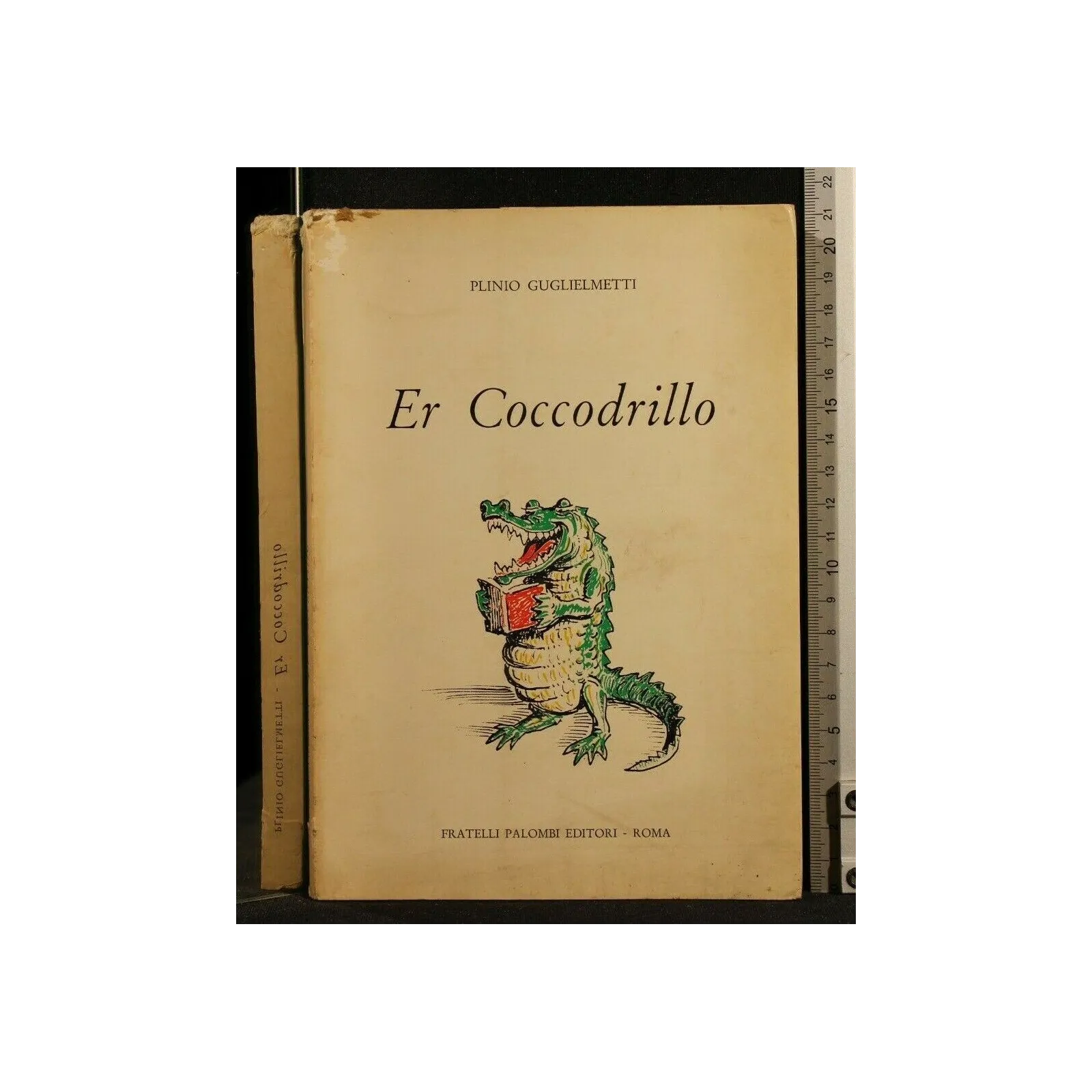 ER COCCODRILLO