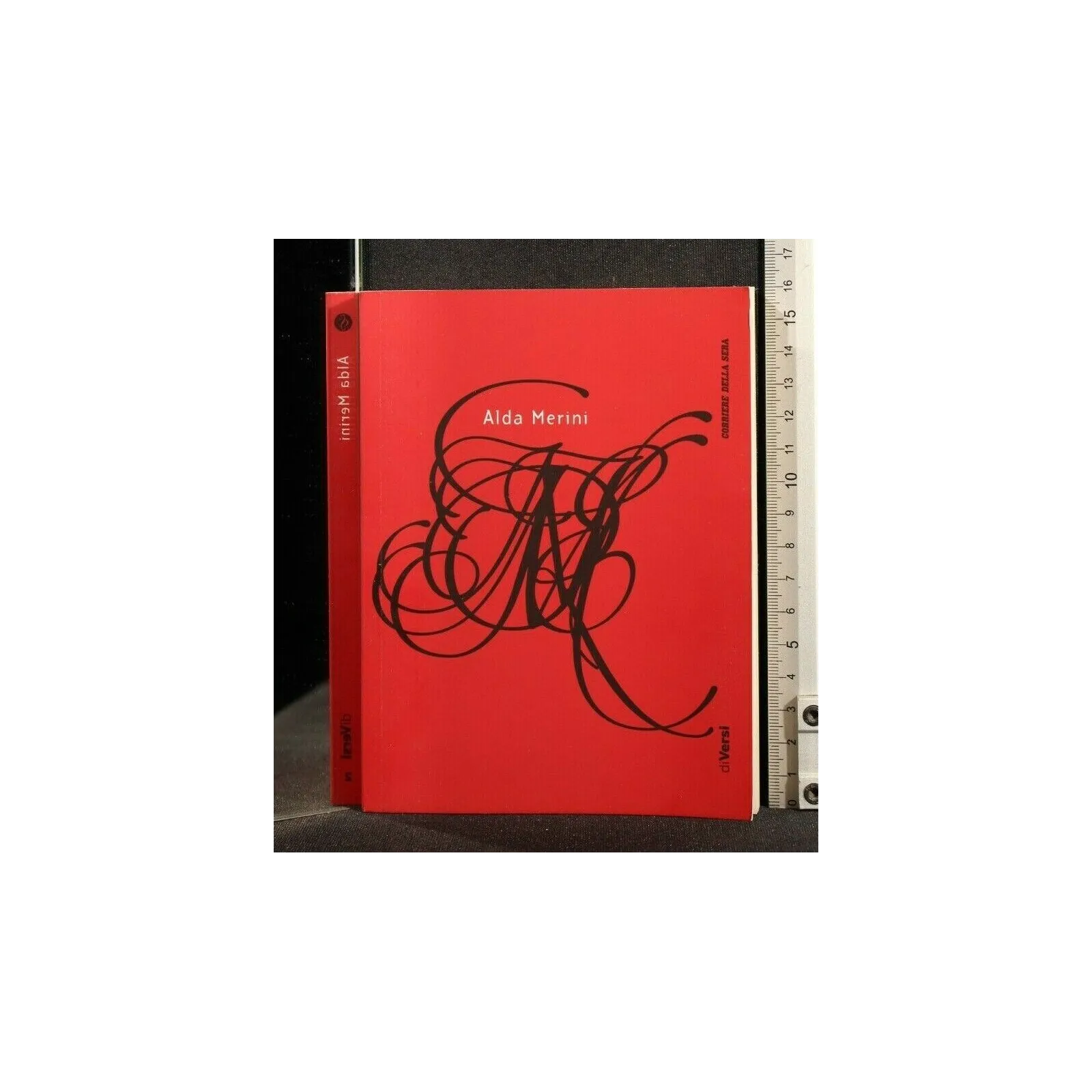 ALDA MERINI