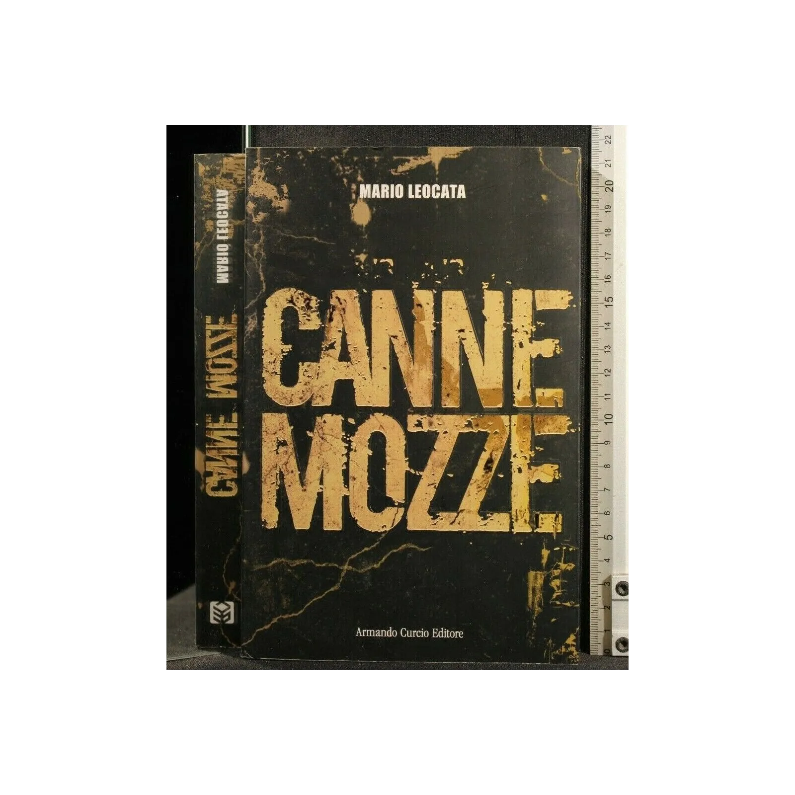 CANNE MOZZE