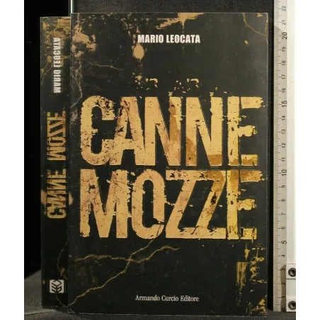 CANNE MOZZE