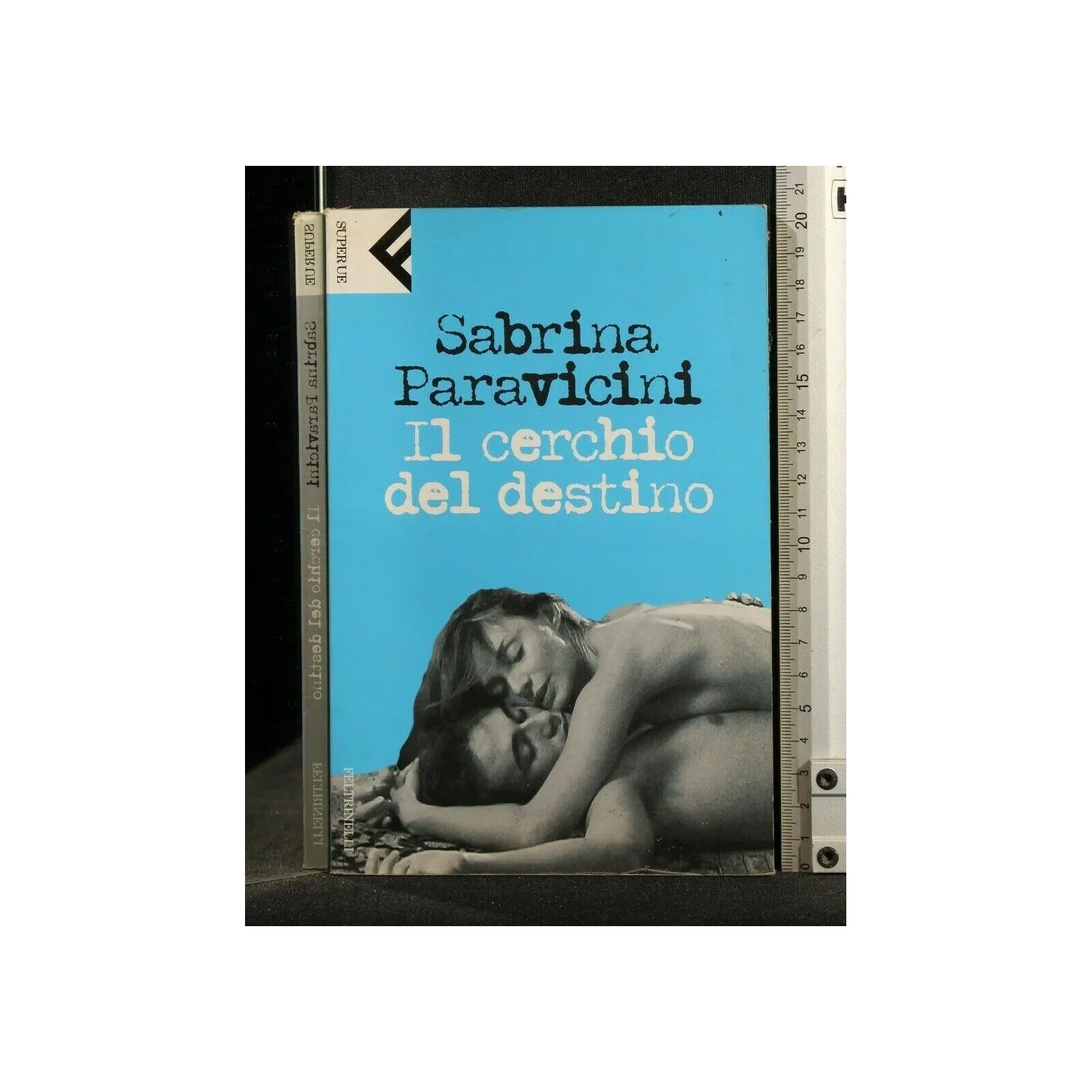 IL CERCHIO DEL DESTINO