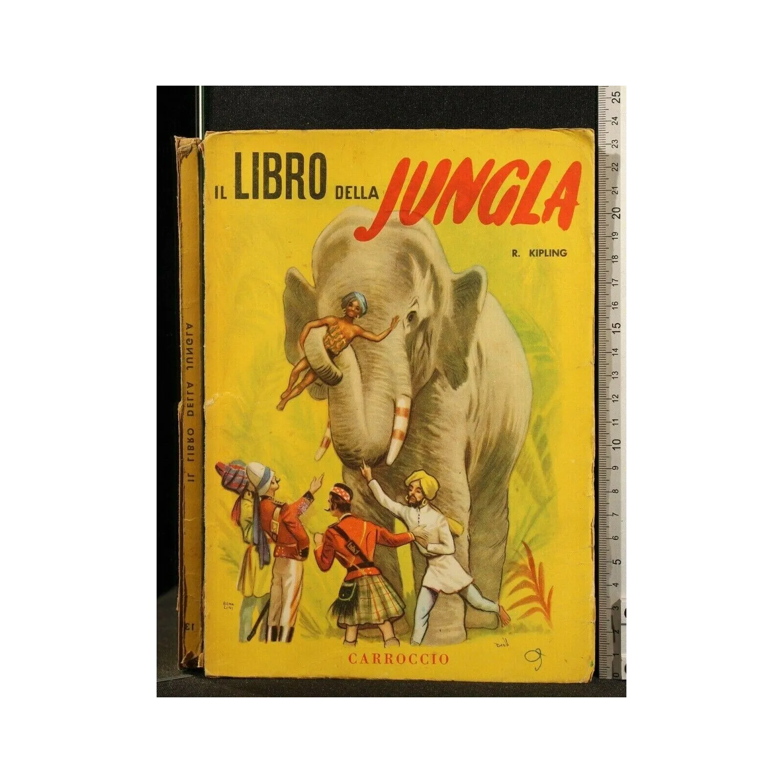 IL LIBRO DELLA JUNGLA