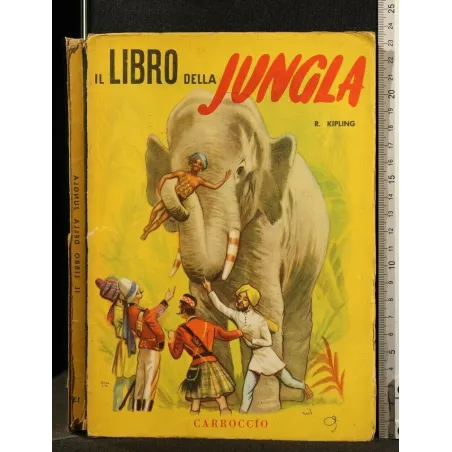 IL LIBRO DELLA JUNGLA