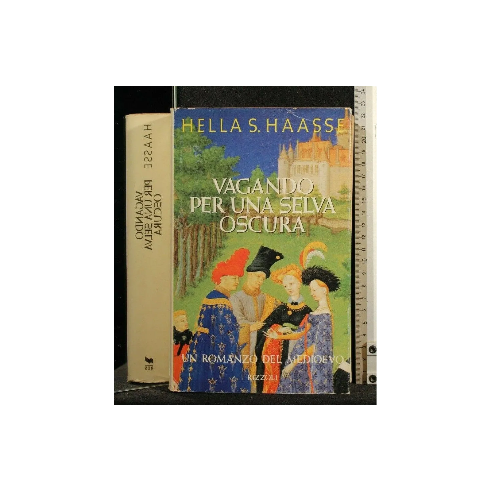 VAGANDO PER UNA SELVA OSCURA