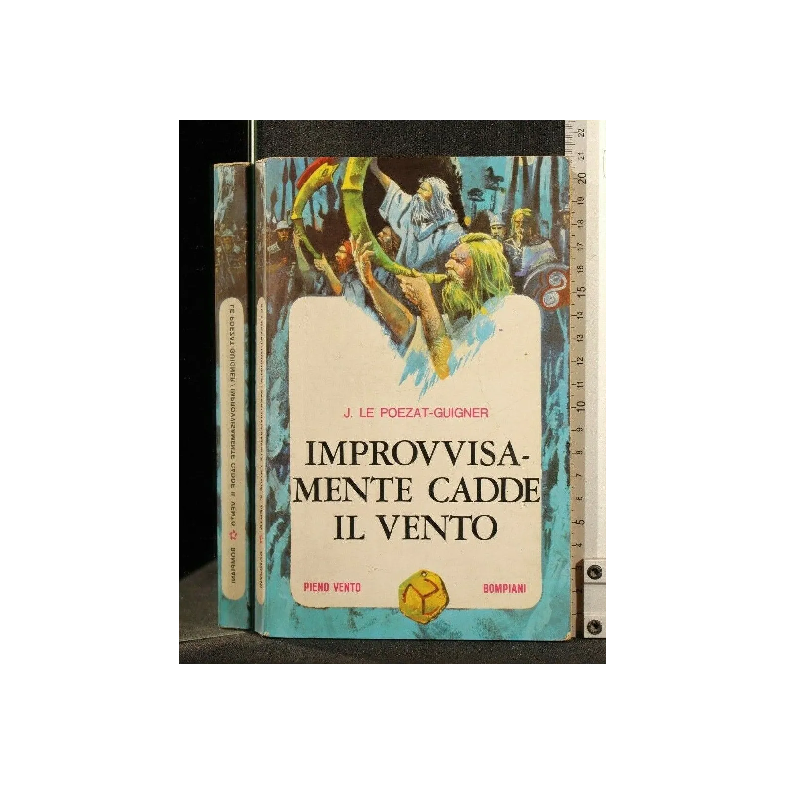 IMPROVVISAMENTE CADDE IL VENTO