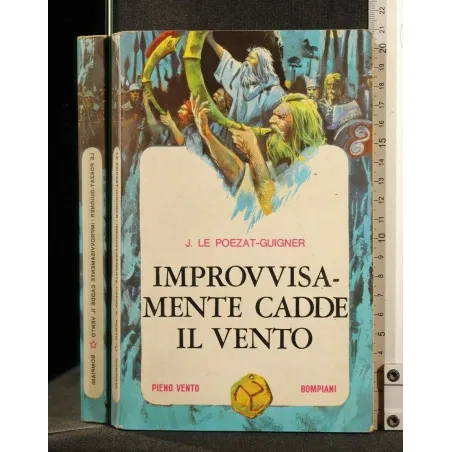 IMPROVVISAMENTE CADDE IL VENTO