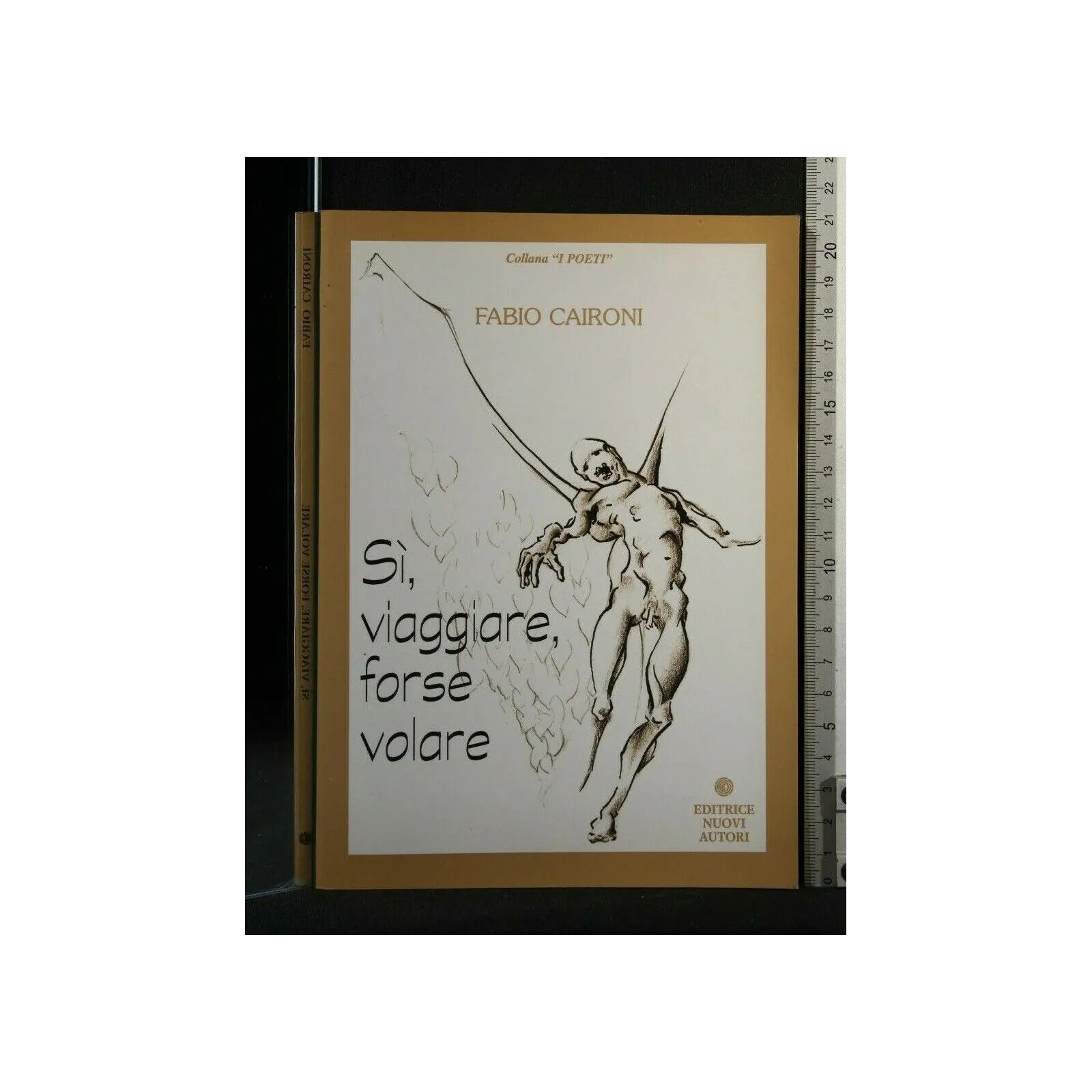 SI, VIAGGIARE, FORSE VOLARE