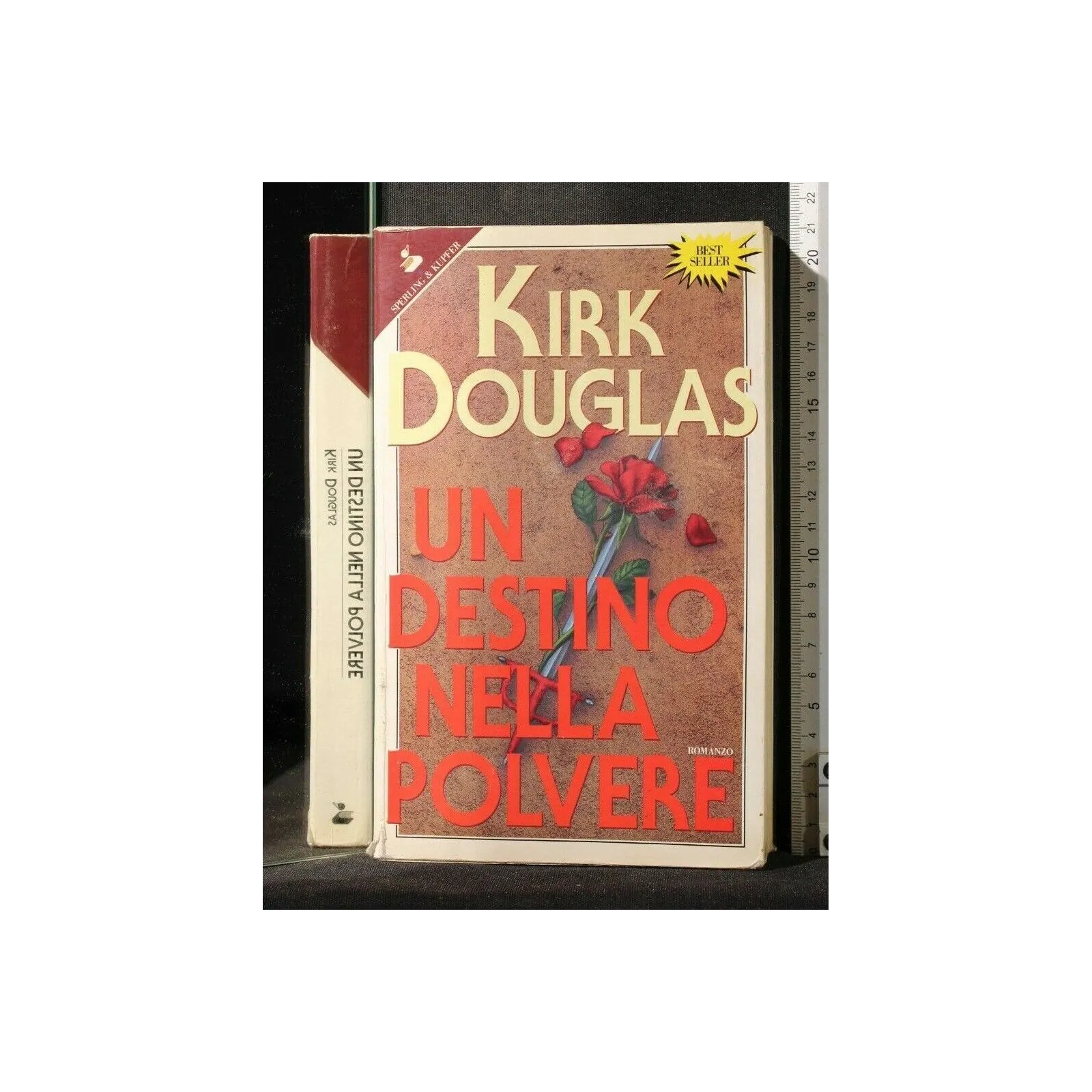 UN DESTINO NELLA POLVERE