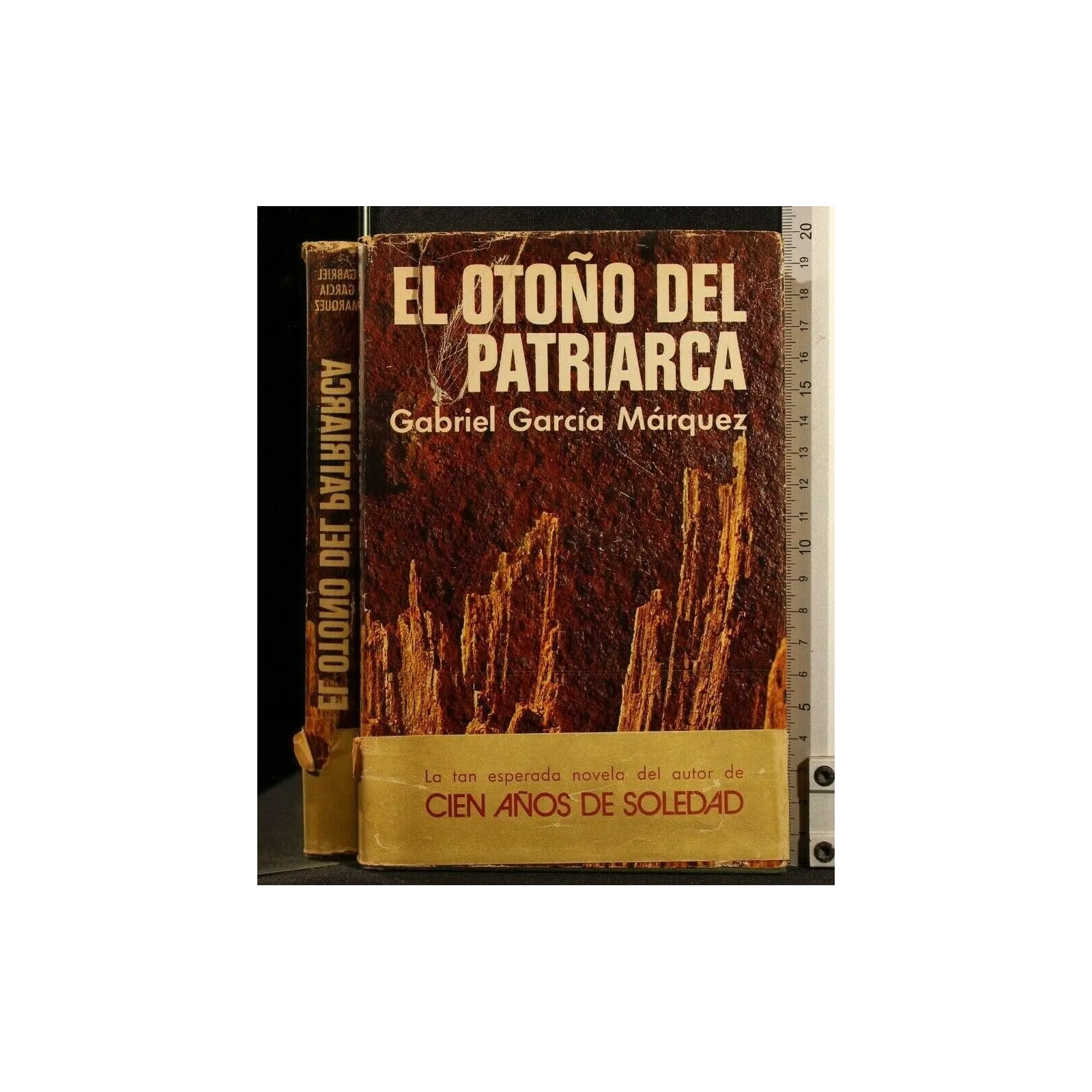 EL OTONO DEL PATRIARCA