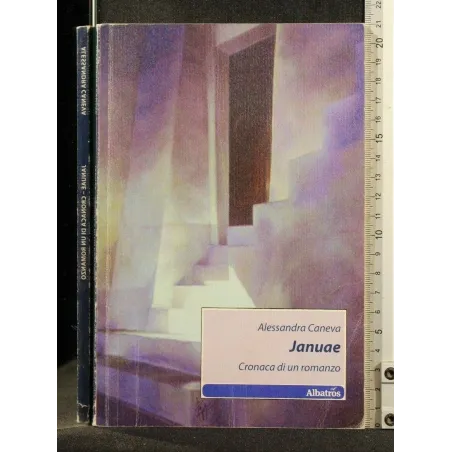 JANUAE CRONACA DI UN ROMANZO