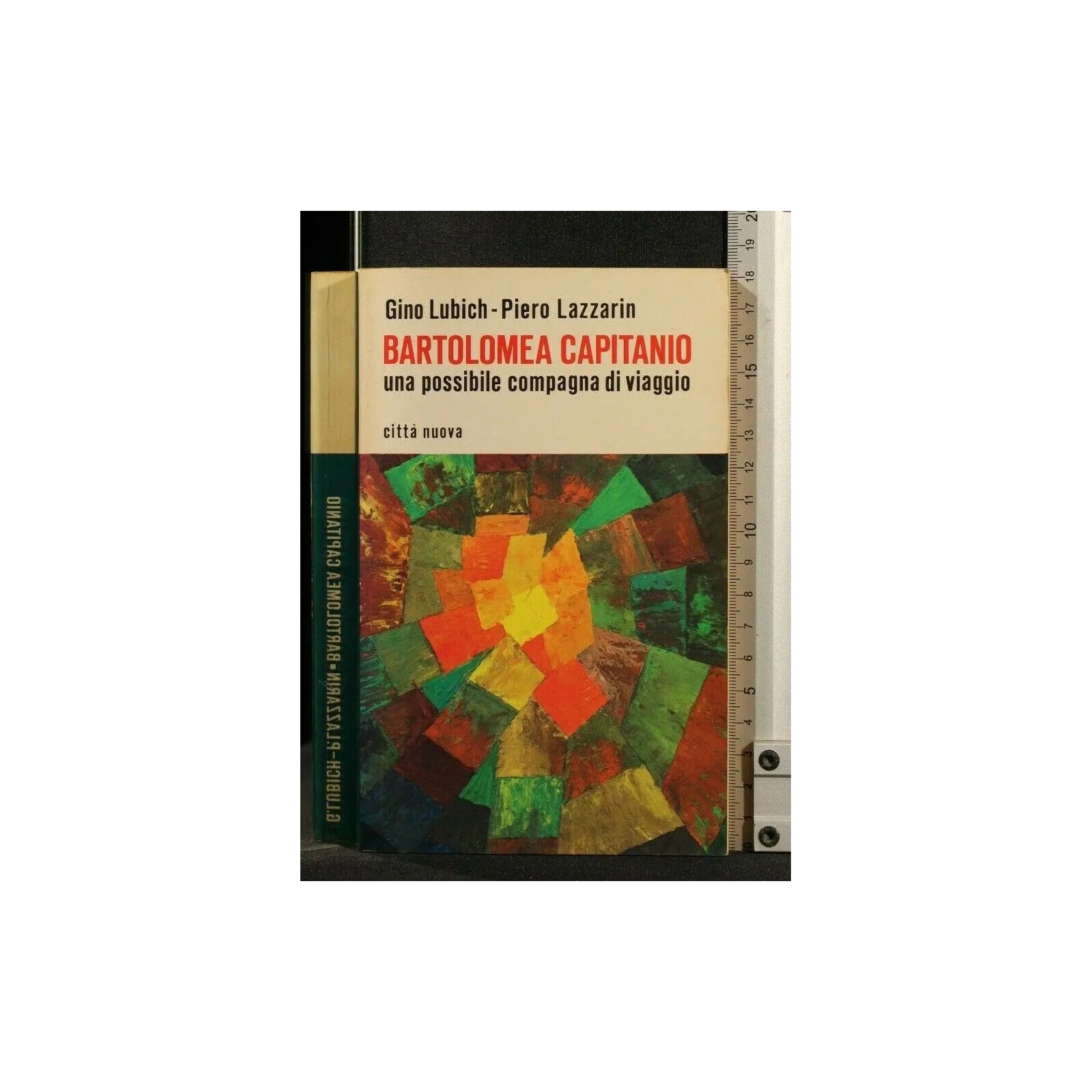 BARTOLOMEA CAPITANIO UNA POSSIBILE COMPAGNA DI VIAGGIO