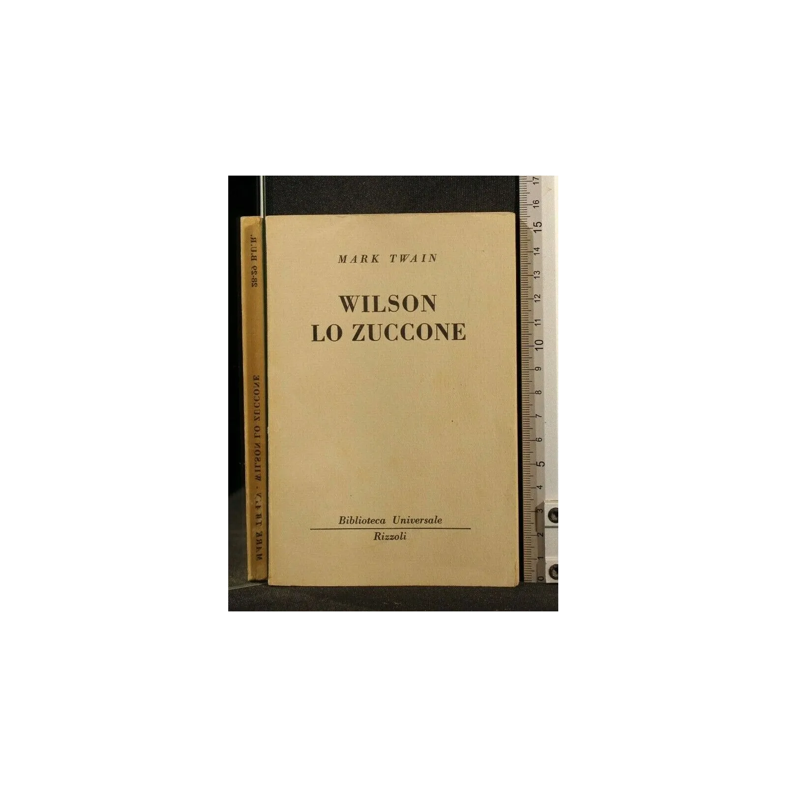 WILSON LO ZUCCONE