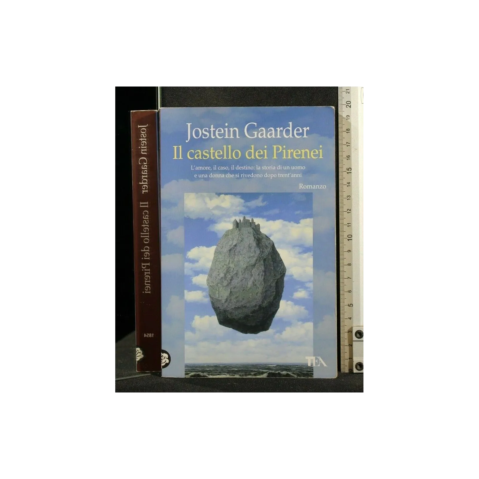 IL CASTELLO DEI PIRENEI