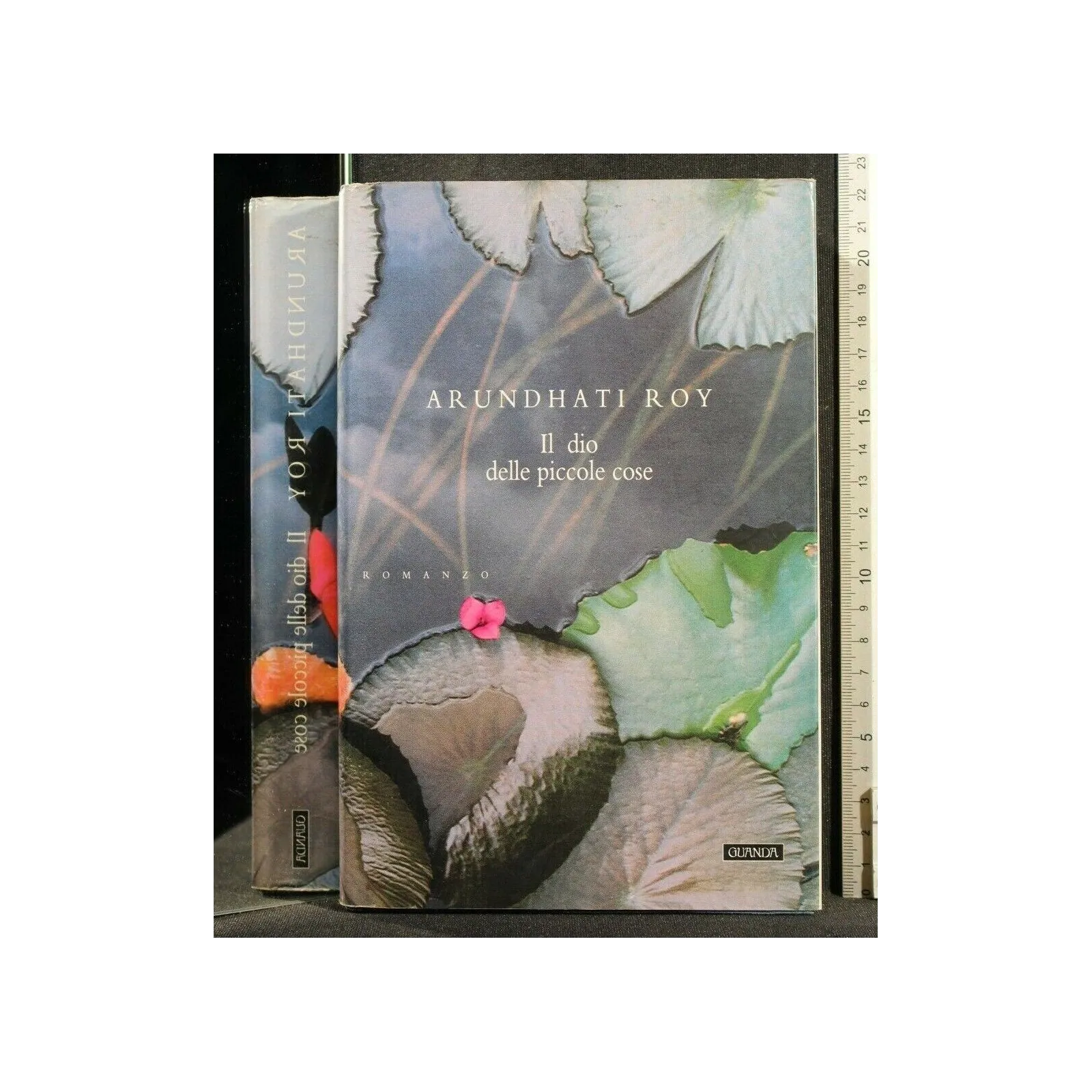 IL DIO DELLE PICCOLE COSE