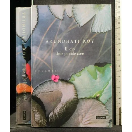 IL DIO DELLE PICCOLE COSE