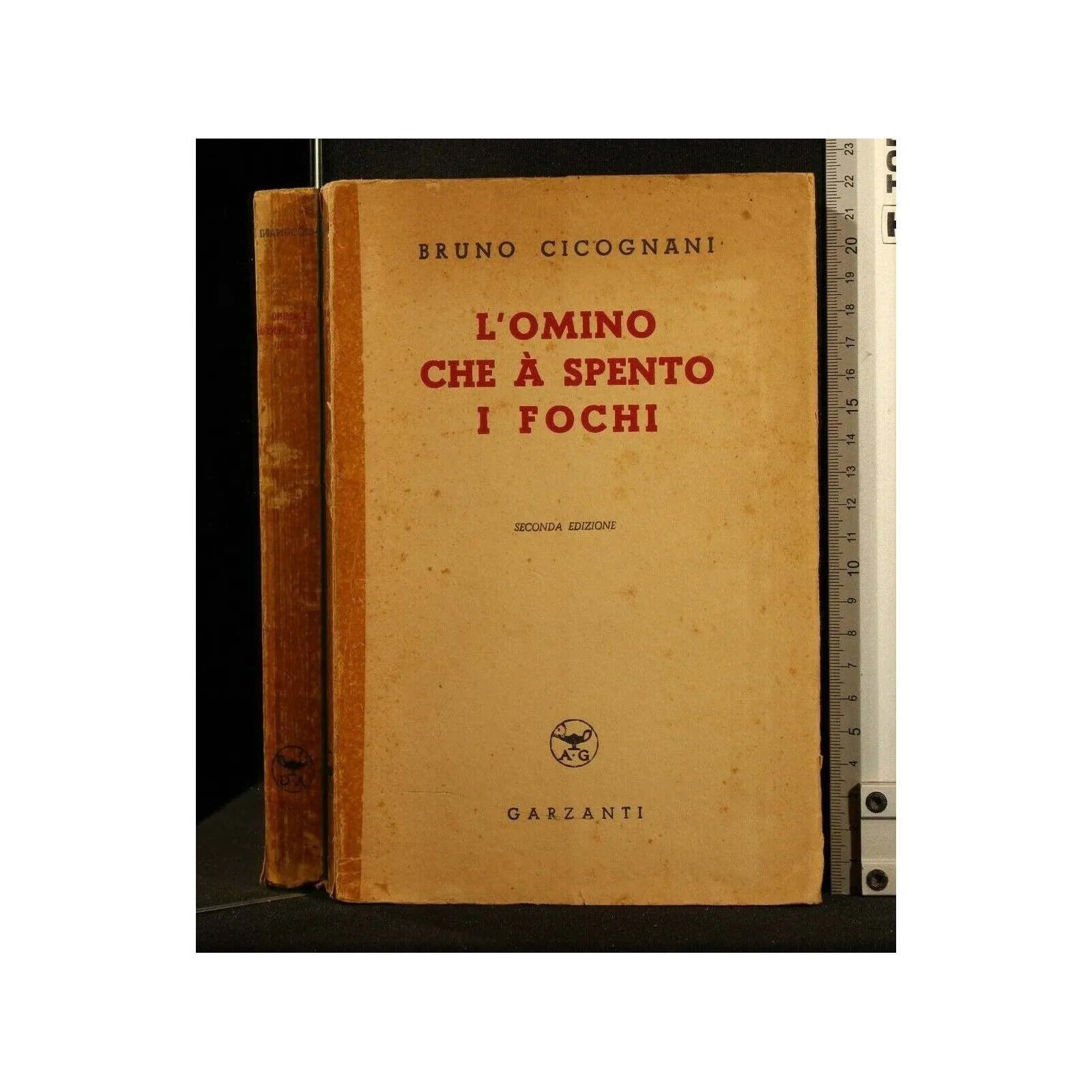 L'OMINO CHE A SPENTO I FOCHI