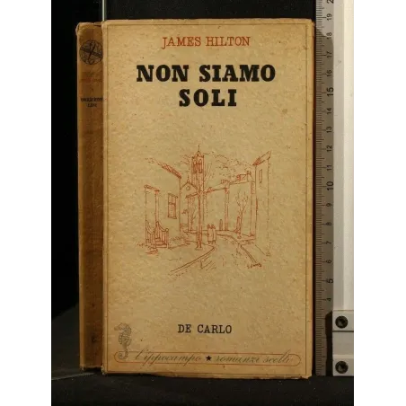 NON SIAMO SOLI