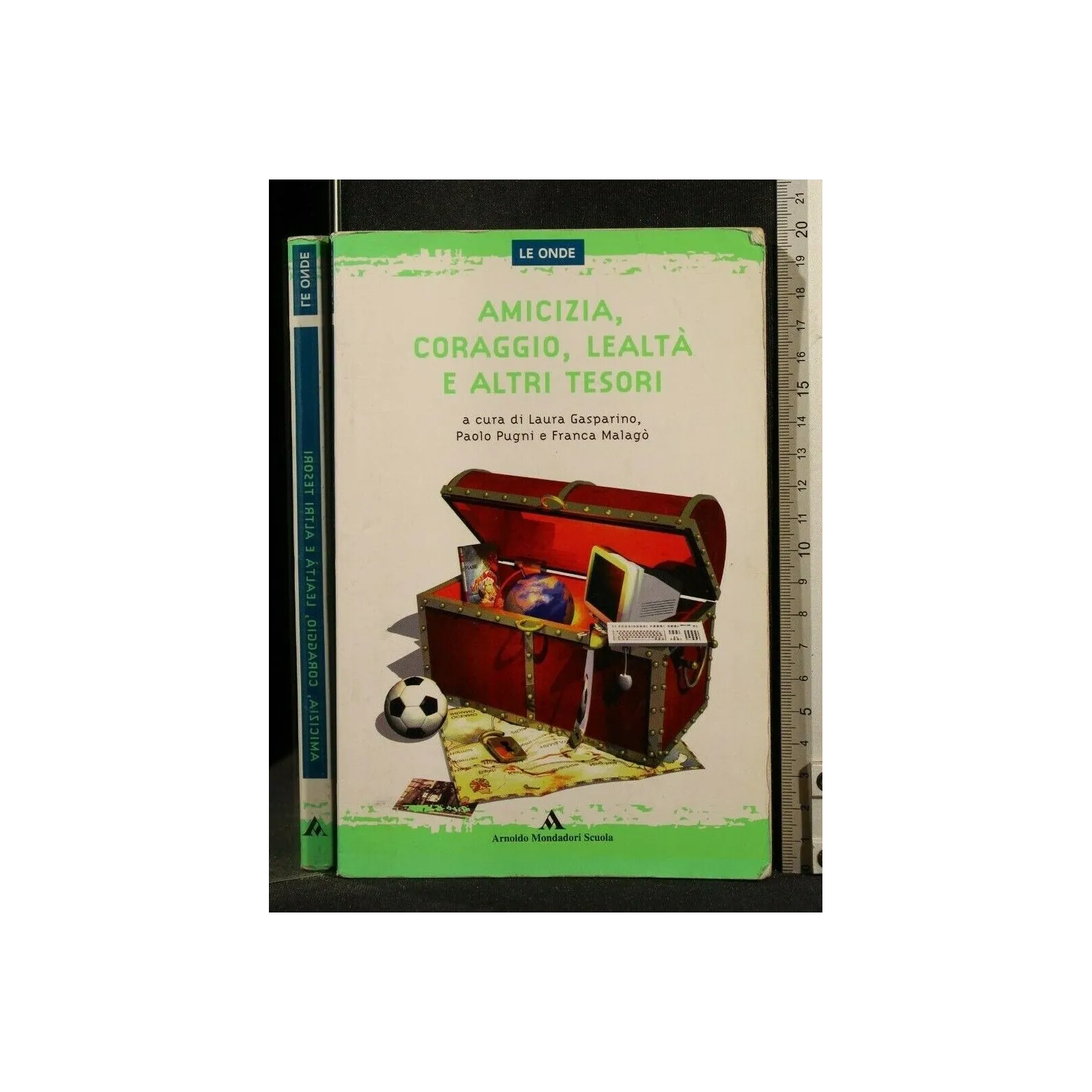 AMICIZIA, CORAGGIO, LEALTA' E ALTRI TESORI