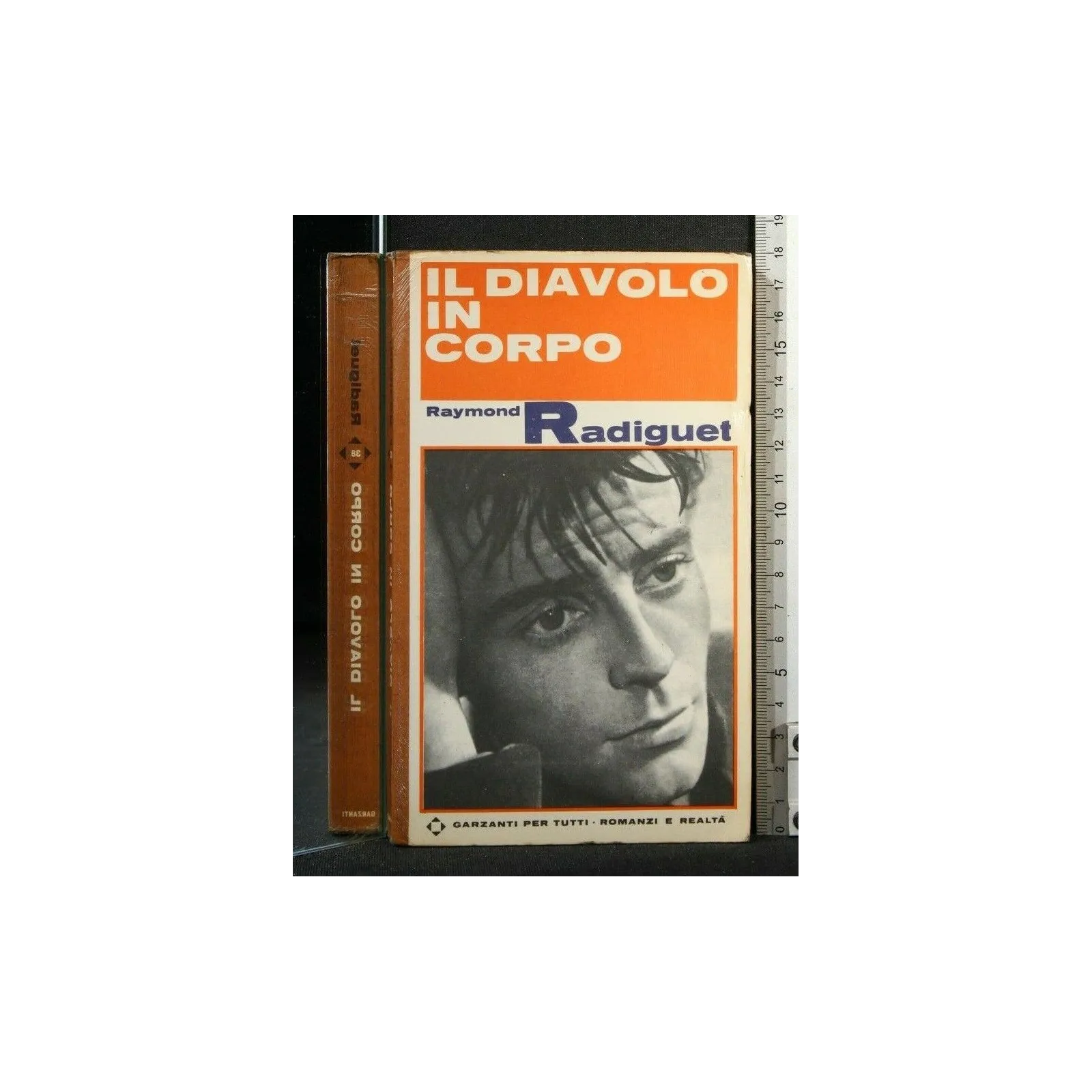 IL DIAVOLO IN CORPO