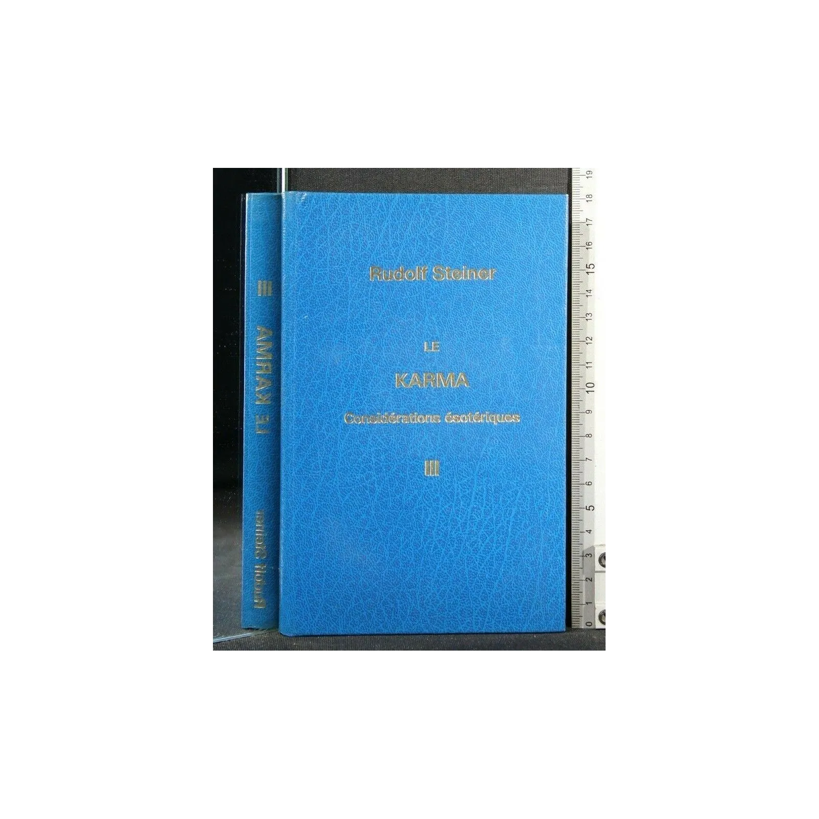 LE KARMA CONSIDÉRATIONS ÉSOTÉRIQUES VOLUME 3