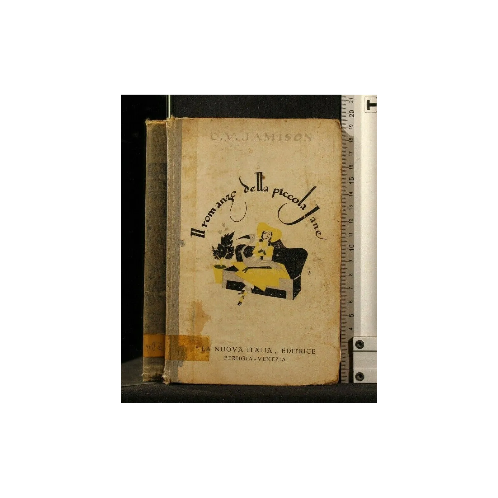 IL ROMANZO DELLA PICCOLA JANE