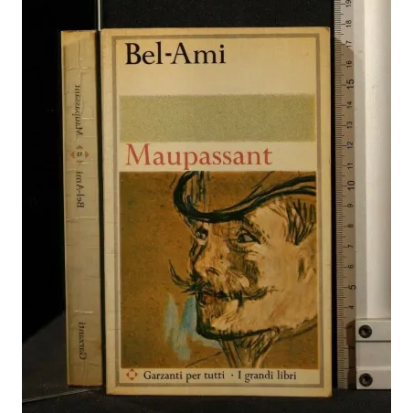 BEL-AMI