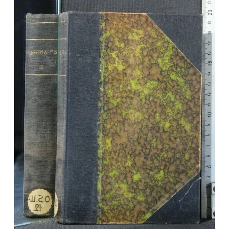 SAINTE ANGELE MERICI ET L'ORDRE DES URSULINES TOME II