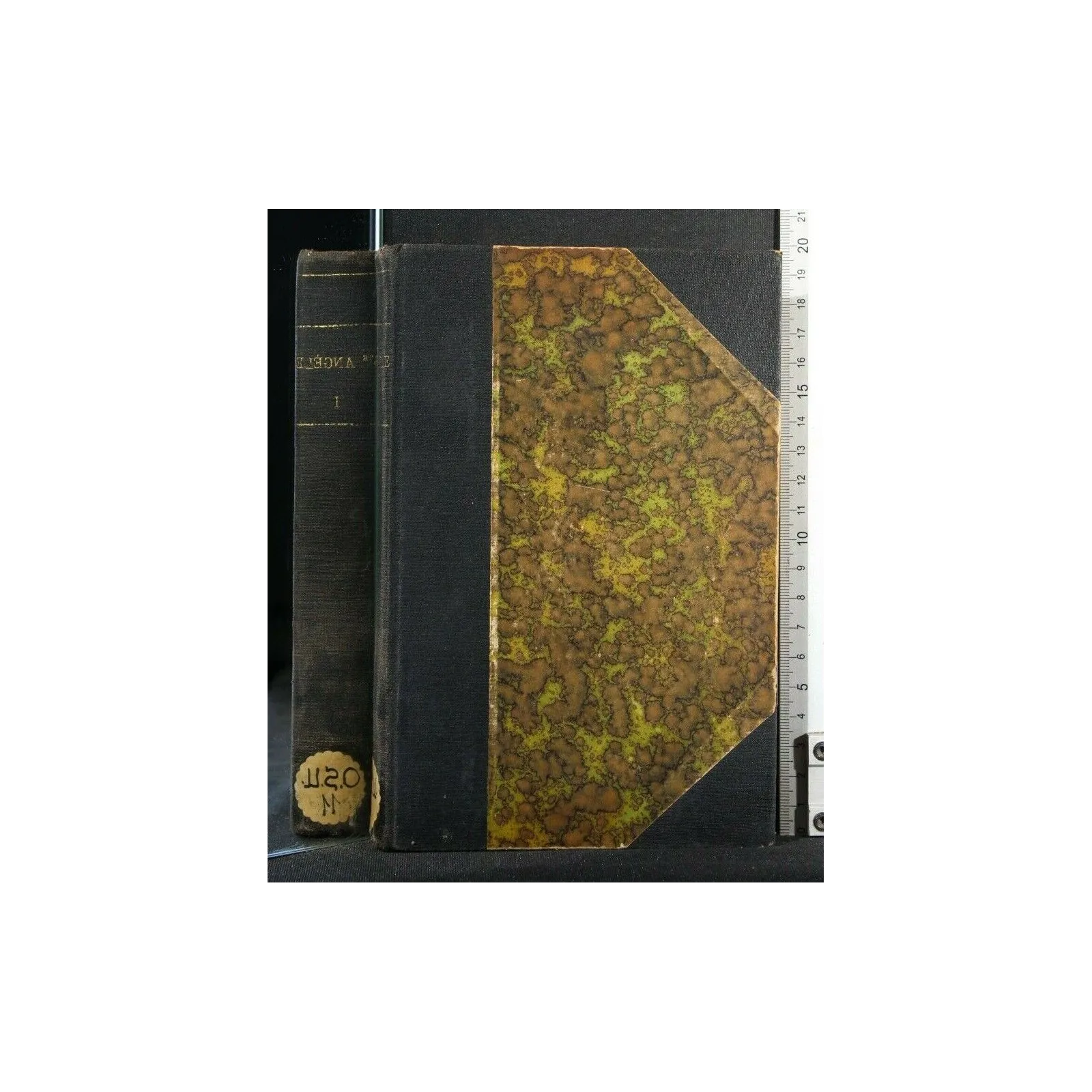 SAINTE ANGELE MERICI ET L'ORDRE DES URSULINES TOME I