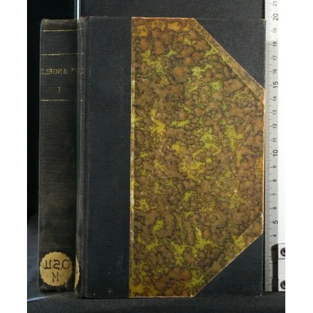 SAINTE ANGELE MERICI ET L'ORDRE DES URSULINES TOME I