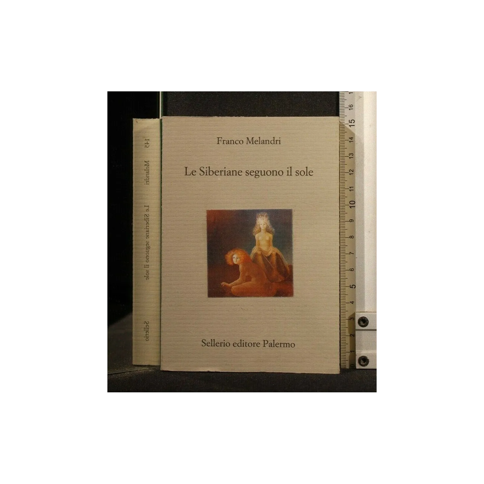 LE SIBERIANE SEGUONO IL SOLE