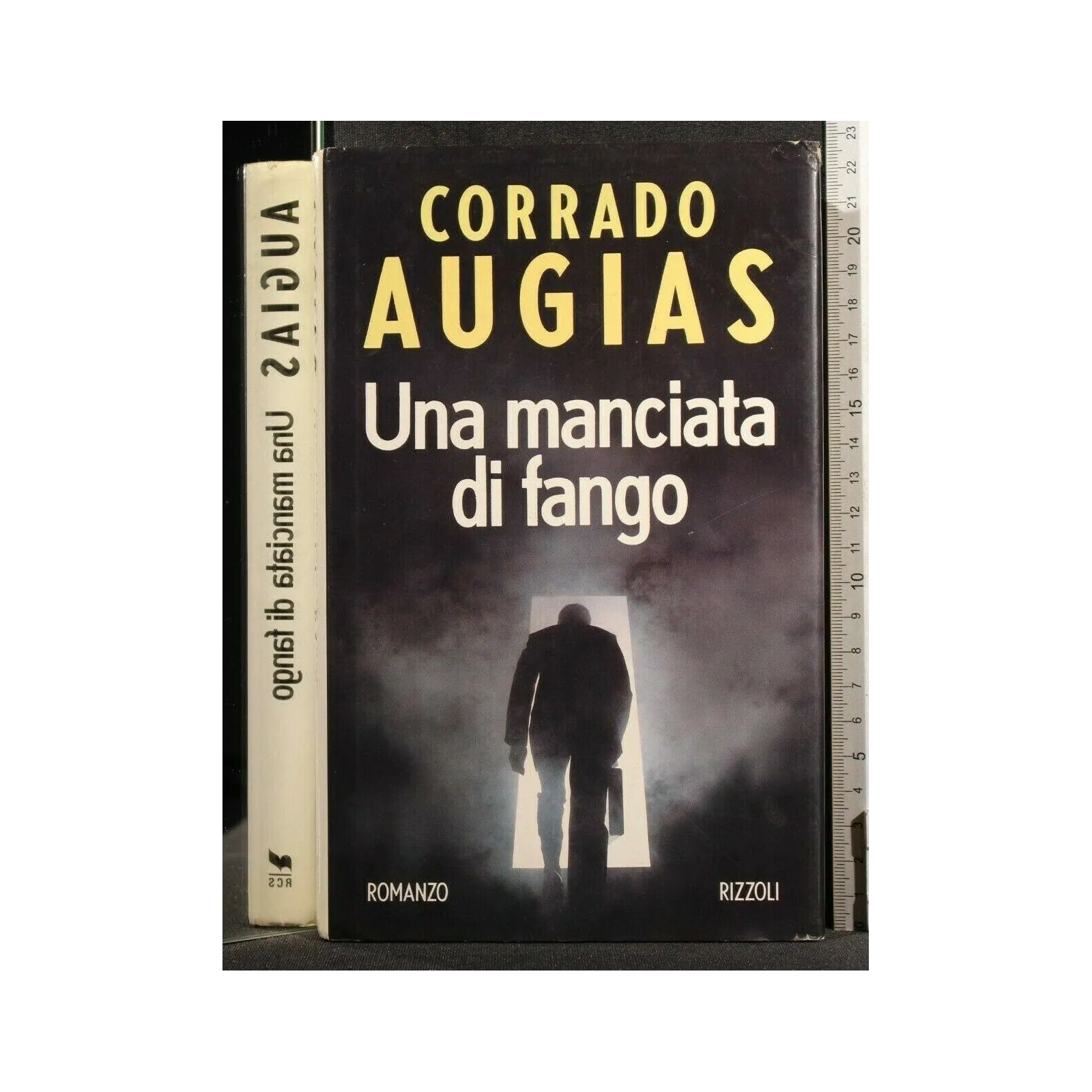 UNA MANCIATA DI FANGO