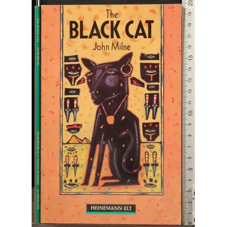 THE BLACK CAT _x000D_