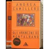 GLI ARANCINI DI MONTALBANO _x000D_