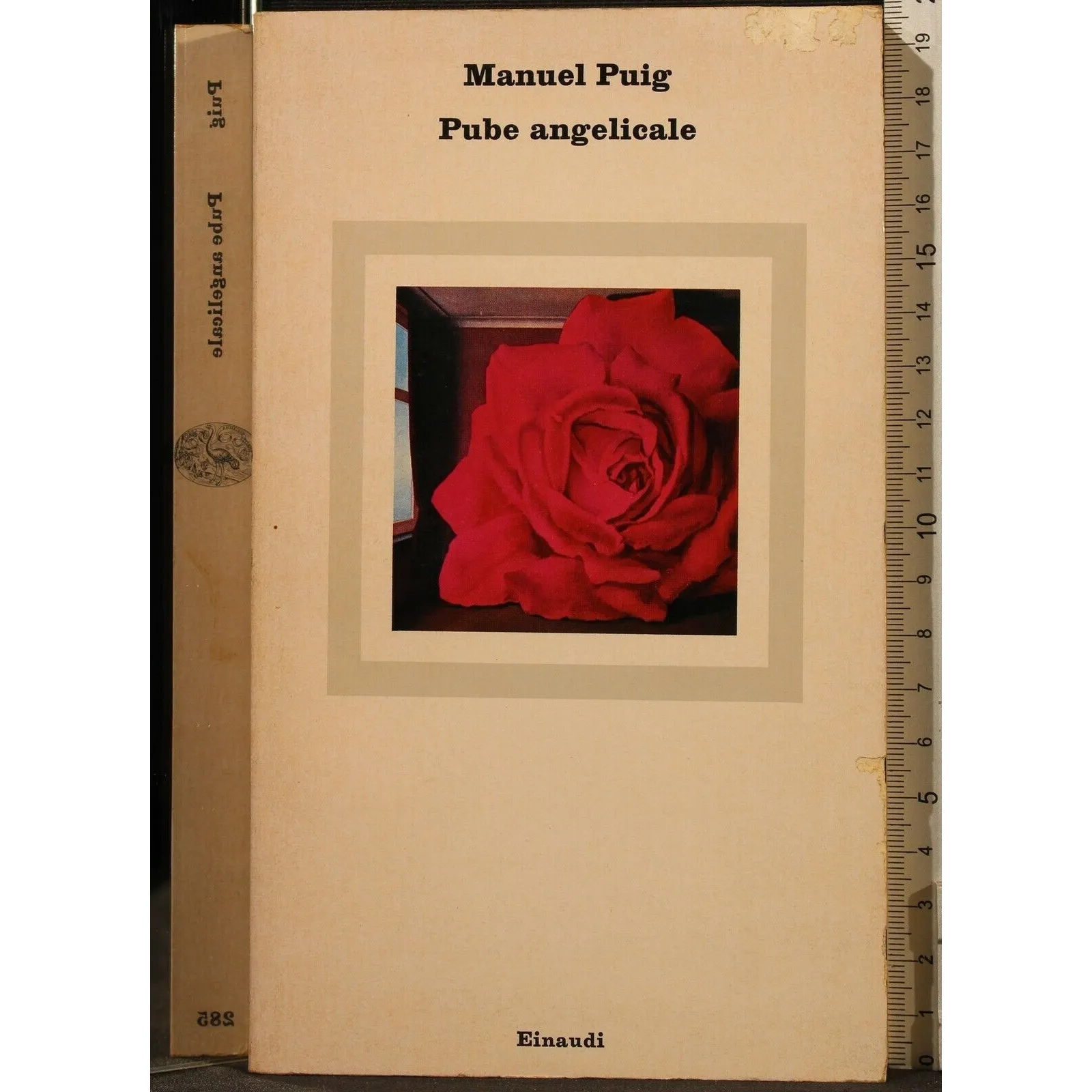 PUBE ANGELICALE _x000D_