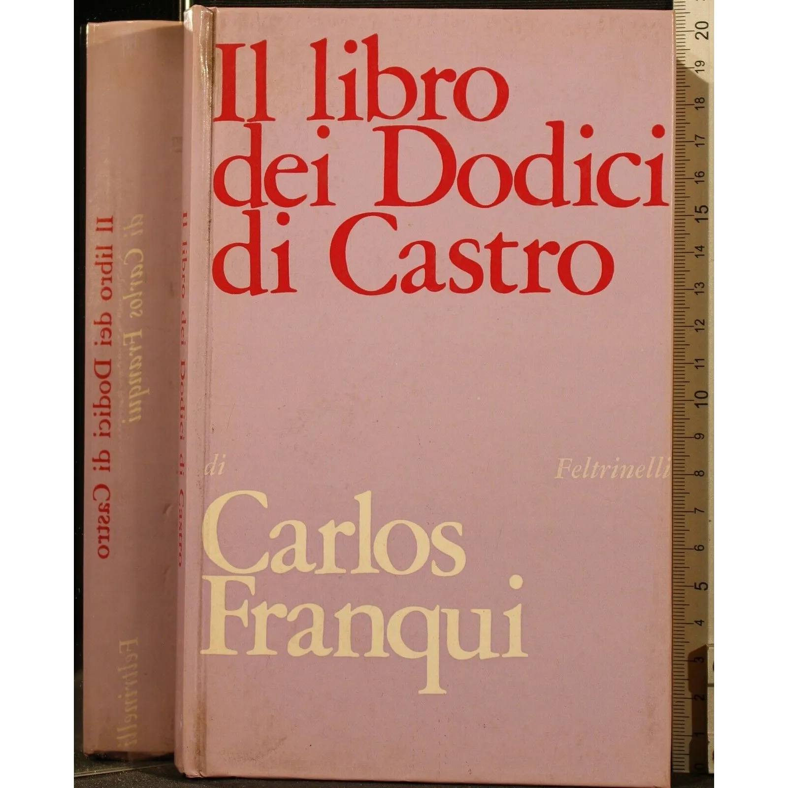 IL LIBRO DEI DODICI DI CASTRO _x000D_