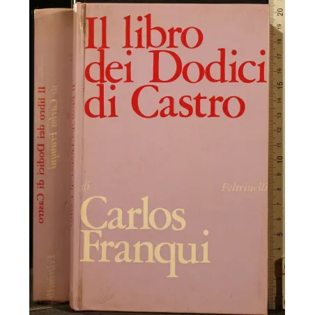 IL LIBRO DEI DODICI DI CASTRO _x000D_