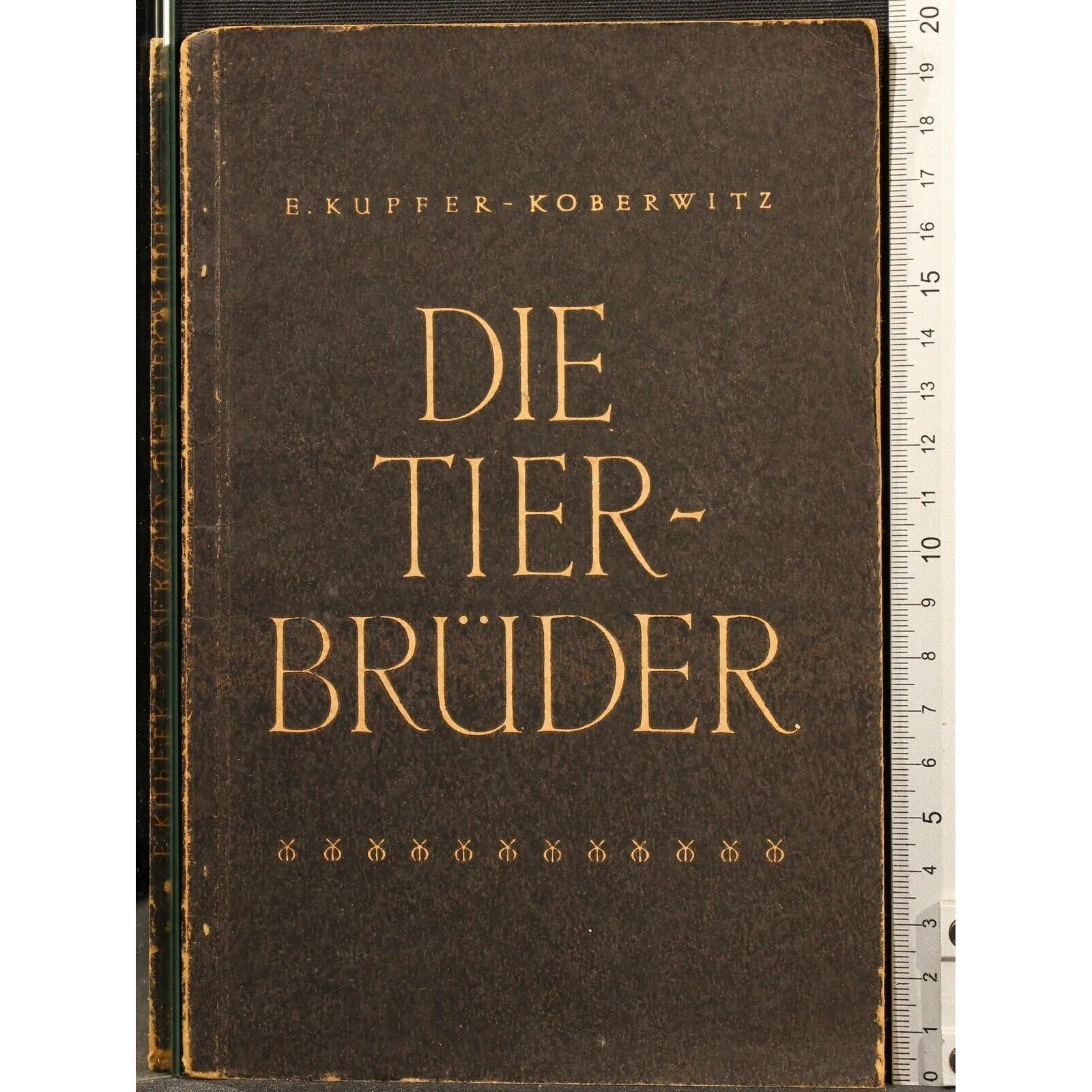 DIE TIERBRUDER _x000D_