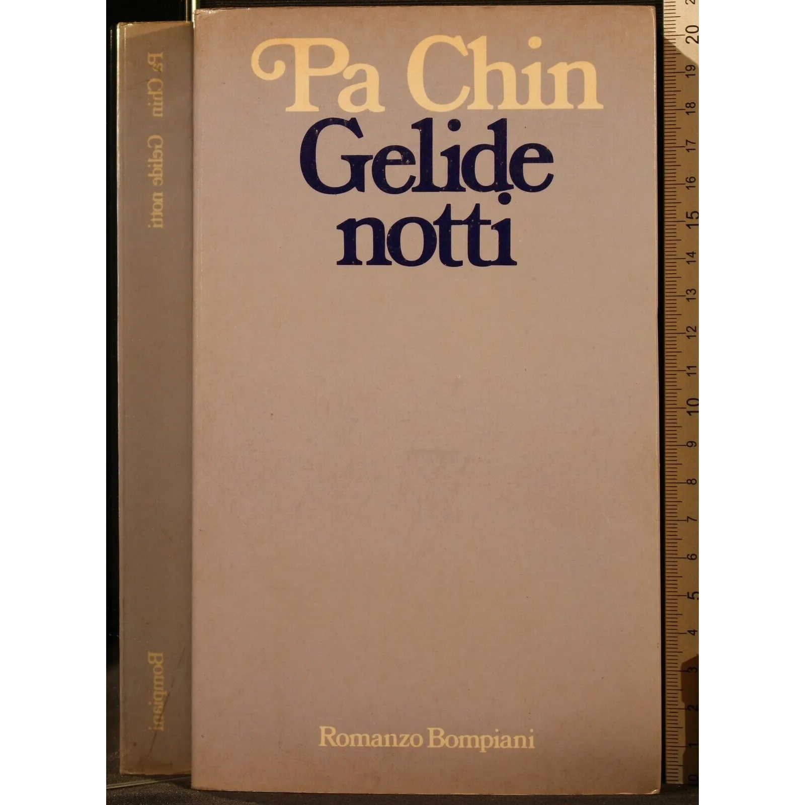 GELIDE NOTTI _x000D_