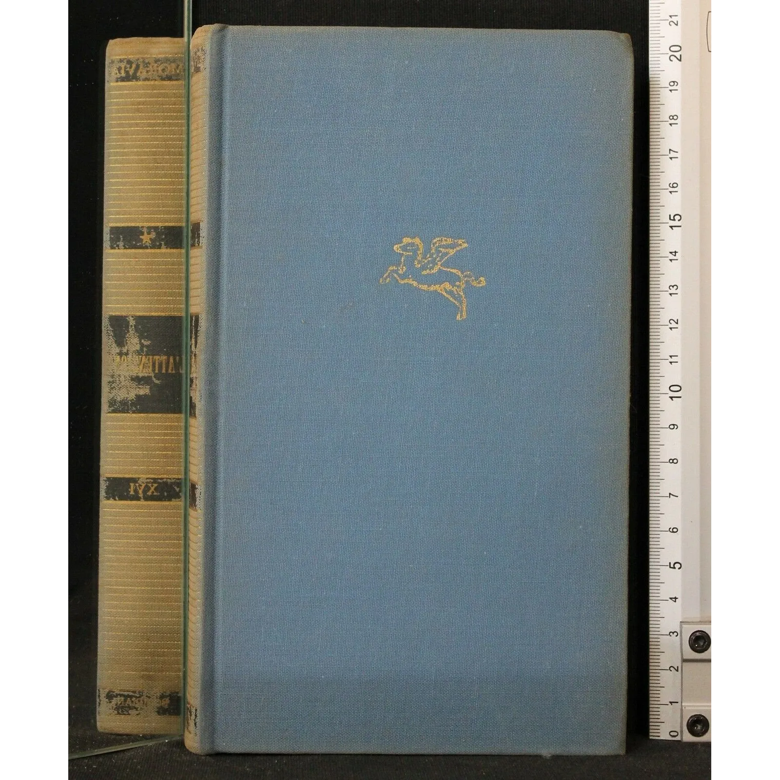 L'ATTENZIONE _x000D_