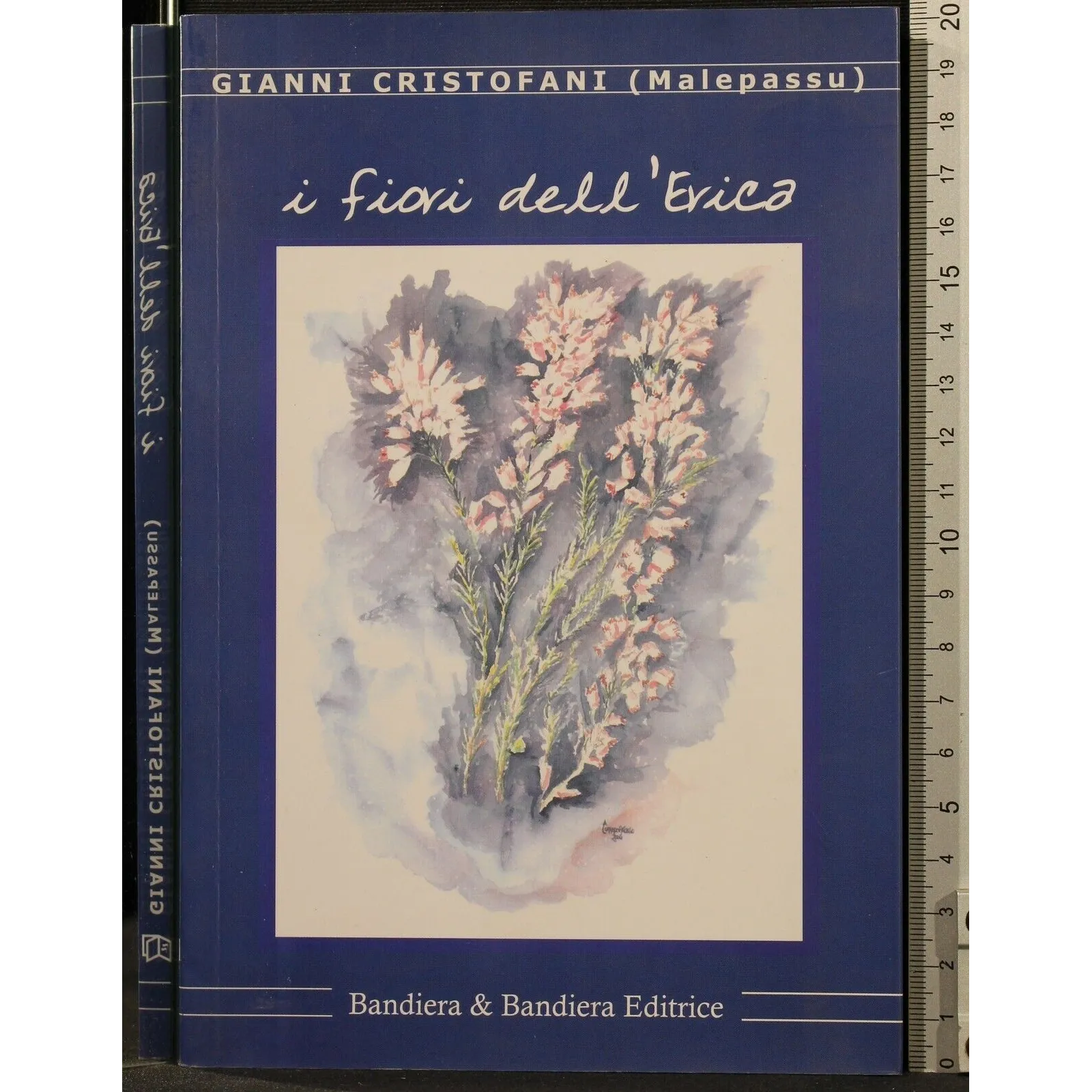 I FIORI DELL'ERICA _x000D_