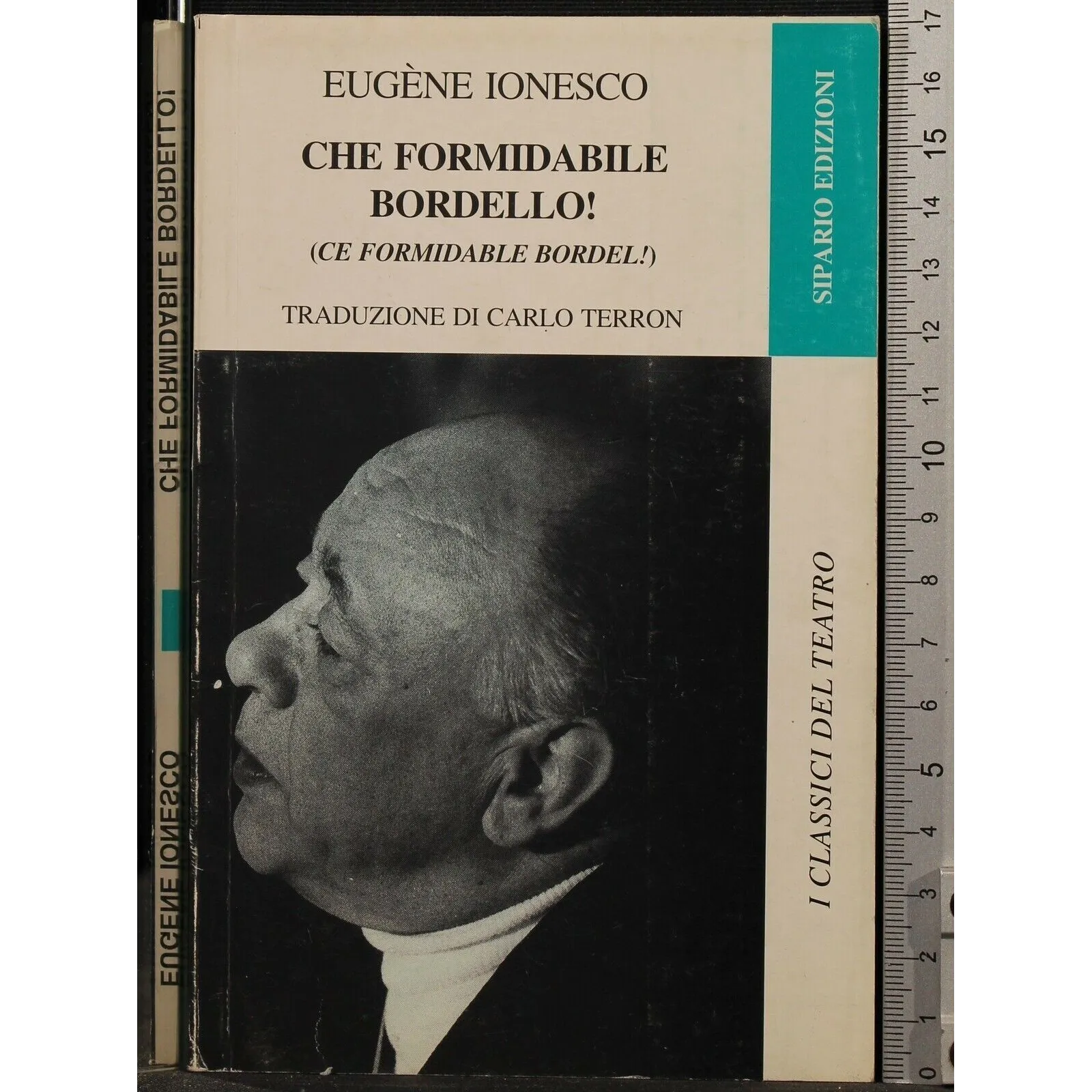 CHE FORMIDABILE BORDELLO! _x000D_