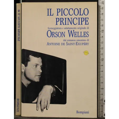 IL PICCOLO PRINCIPE. SCENEGGIATURA WELLES _x000D_