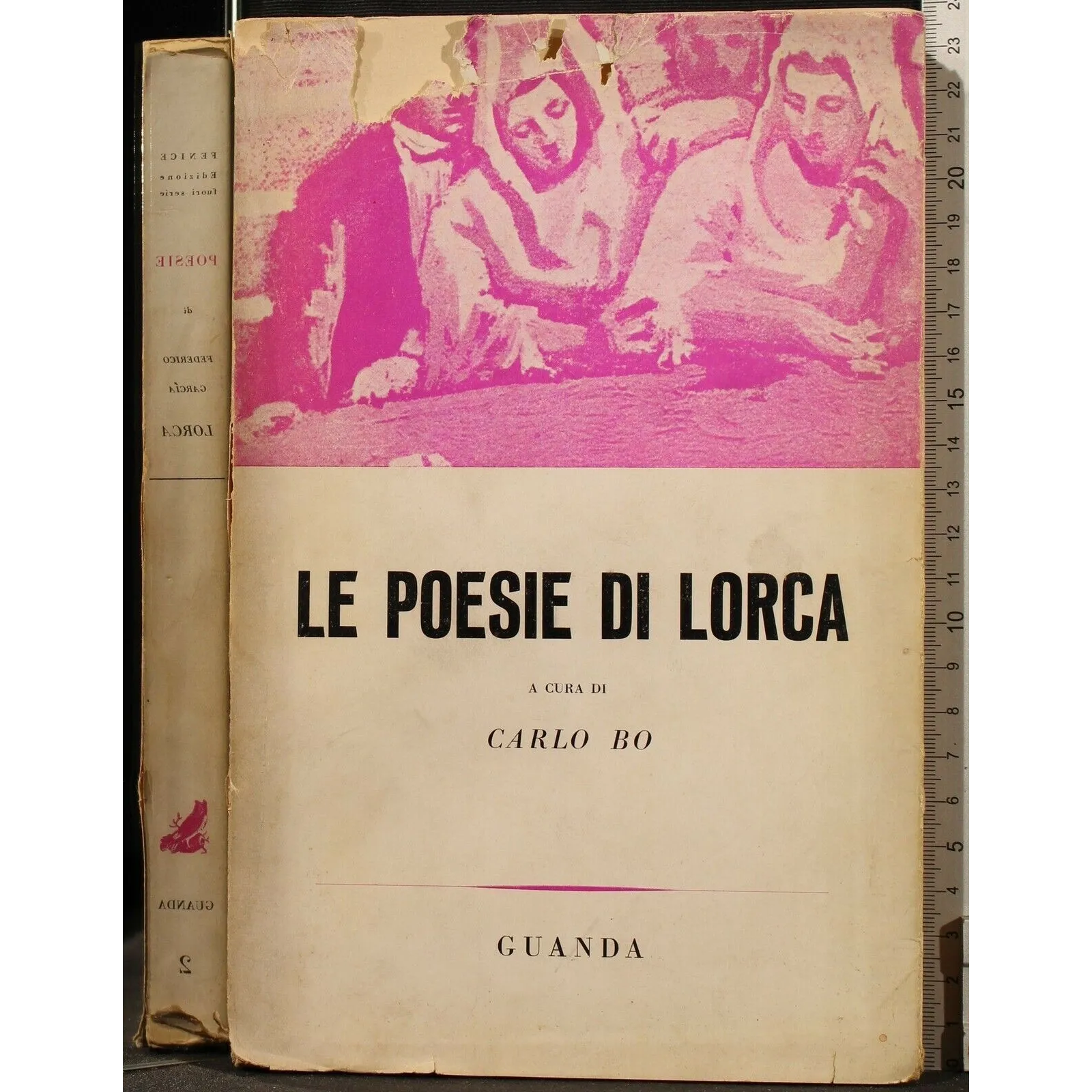 LE POESIE DI LORCA _x000D_