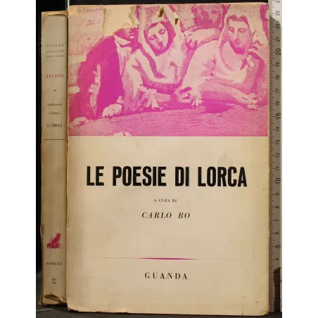 LE POESIE DI LORCA _x000D_