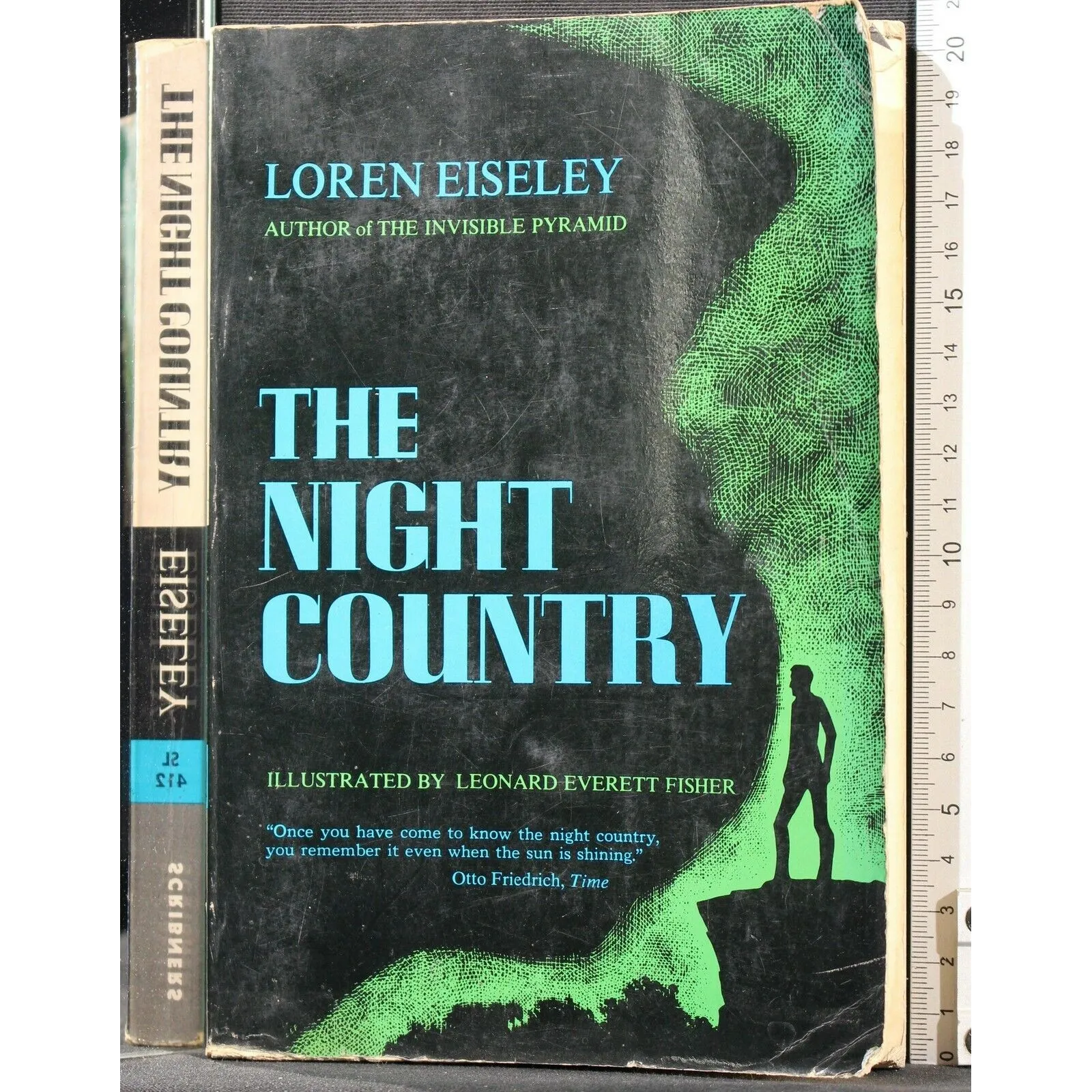 THE NIGHT COUNTRY _x000D_