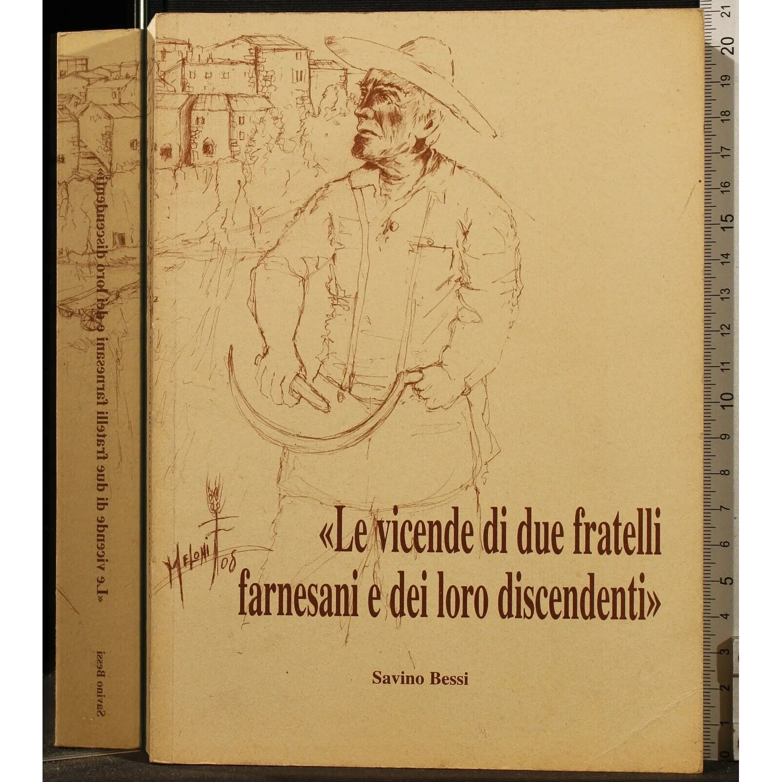 LE VICENDE DI DUE FRATELLI FARNESANI E DEI LORO DISCENDENTI _x000D_
