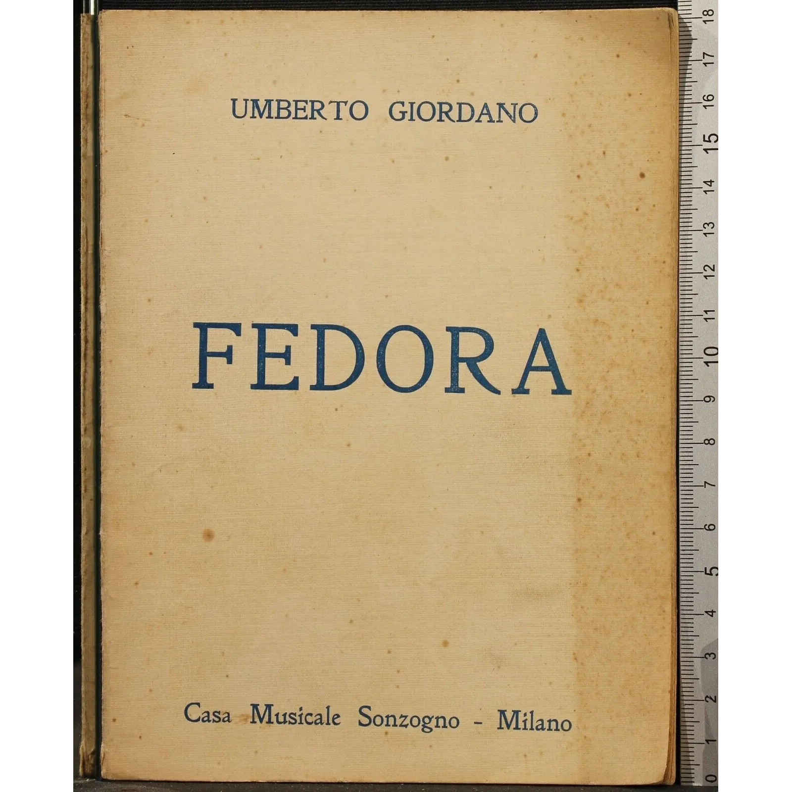 FEDORA _x000D_