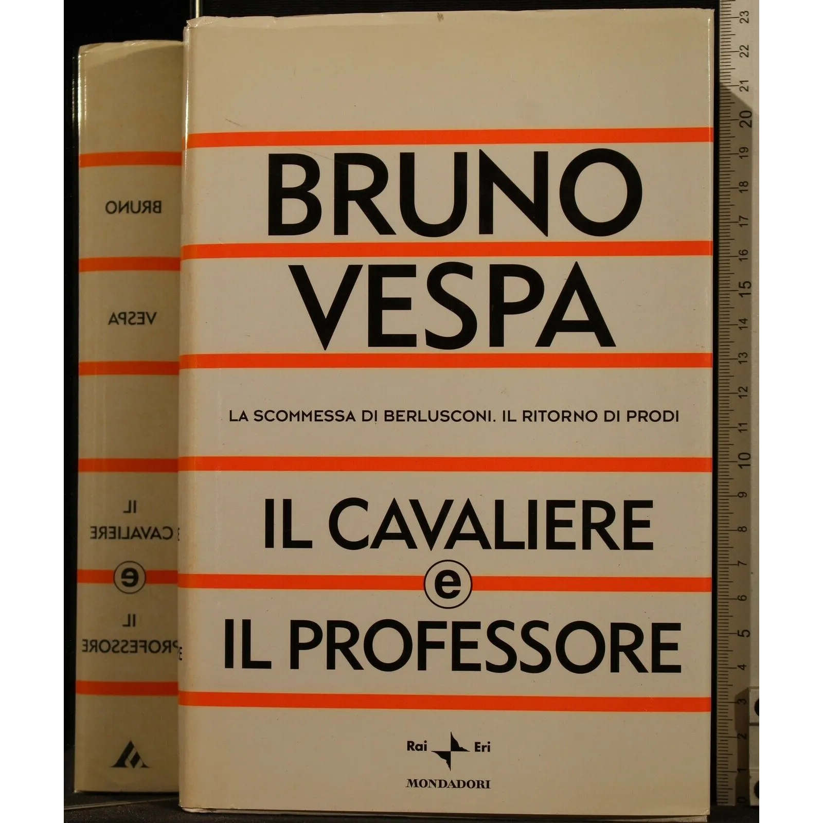IL CAVALIERE E IL PROFESSORE
