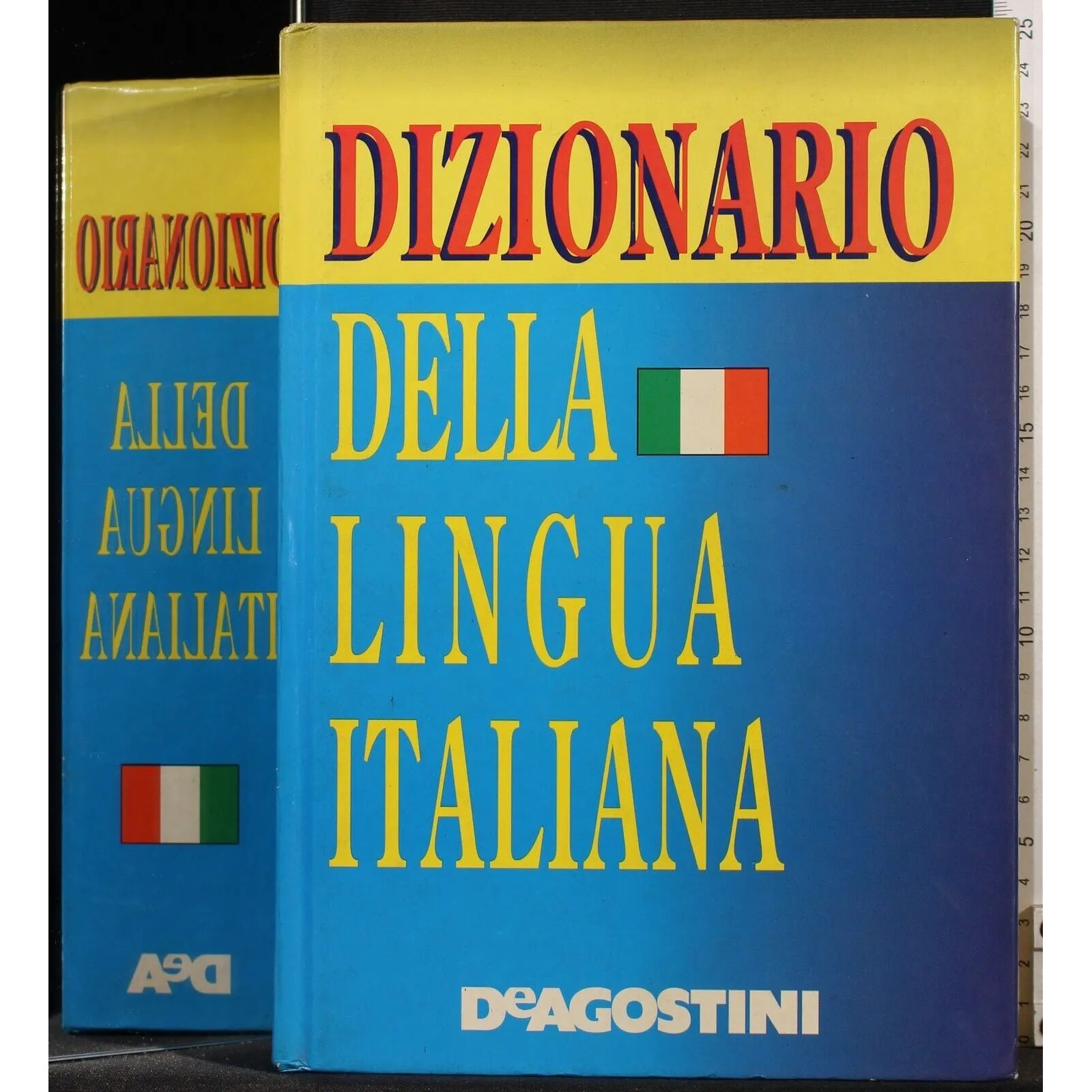 DIZIONARIO DELLA LINGUA ITALIANA